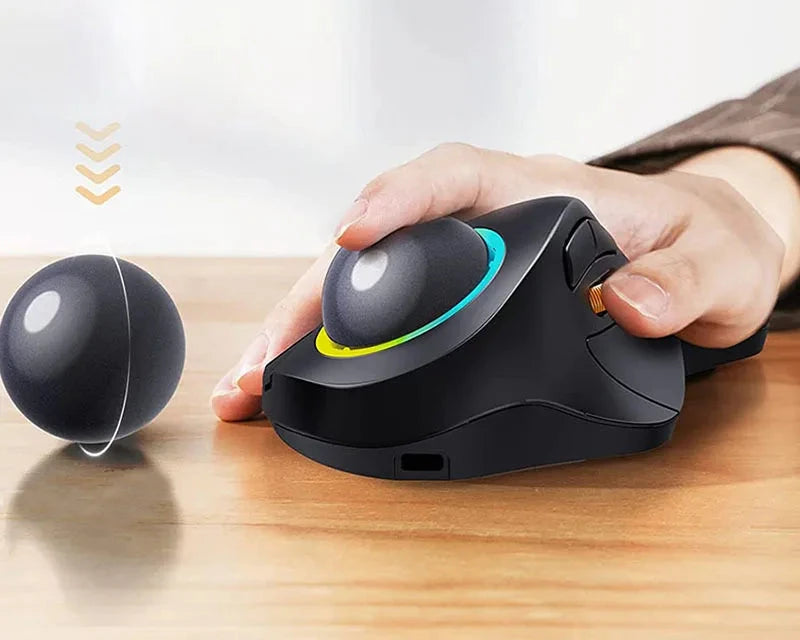 Souris Ergonomique Mac